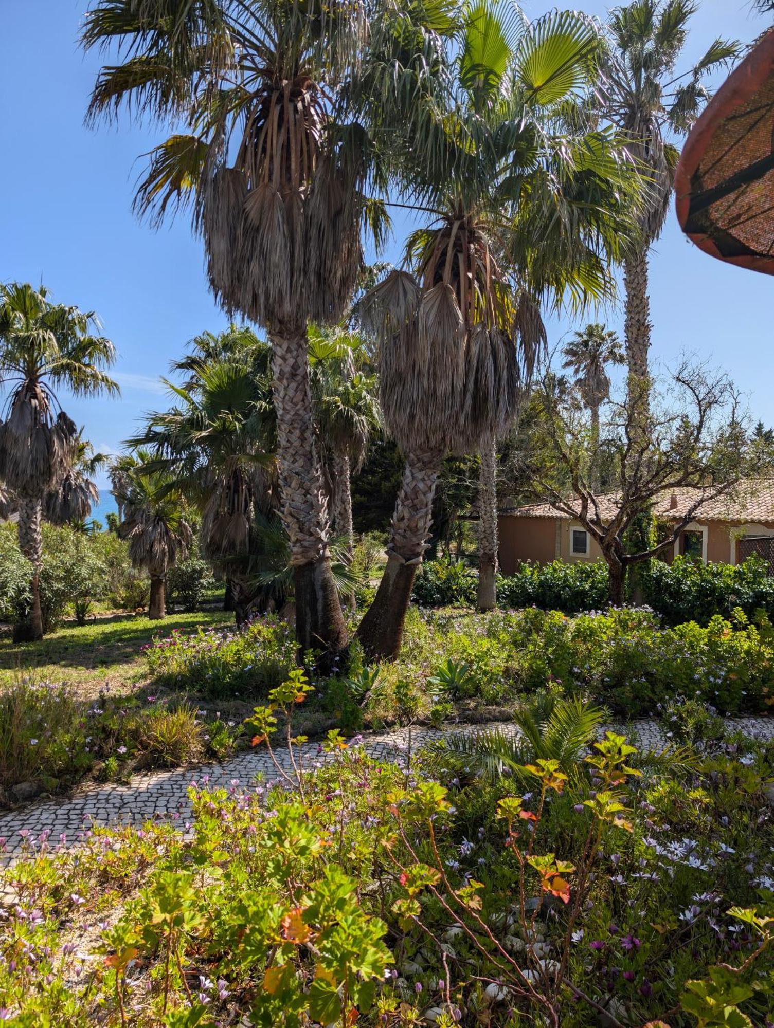 Quinta Do Mar - Country & Sea Village Praia Da Luz Экстерьер фото